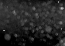 Grayscale texture with scattered bright spots on dark background