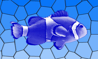 Blue color effect on an image of a fish