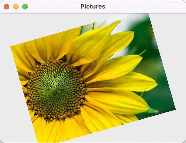 Gesture inputs on an image of a flower