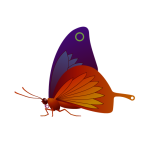 Butterfly with color overlay applied
