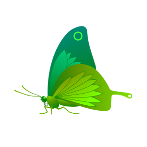Butterfly with green overlay