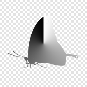 Gradient masked by butterfly shape