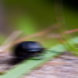 Vertical blur at angle 90