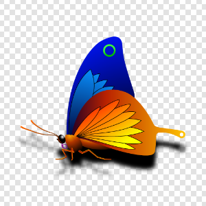 Butterfly with black shadow