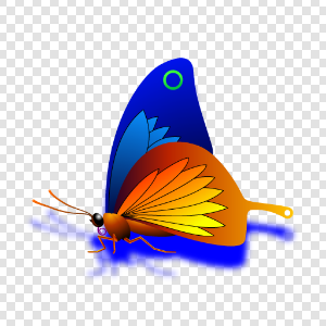 Butterfly with blue shadow