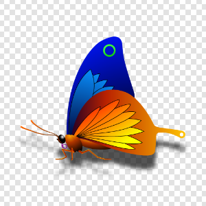 Butterfly with semi-transparent shadow