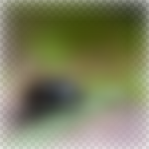 Blur with transparent edges