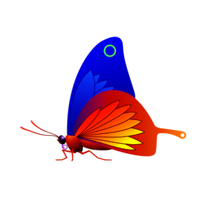 Butterfly with modified RGB gamma