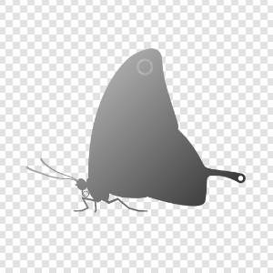 Gradient masked by butterfly shape