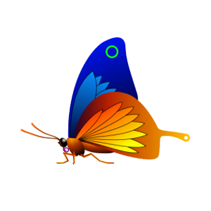 Colorful butterfly graphic