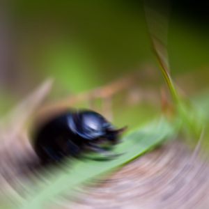 Moderate radial blur