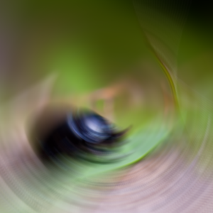 Beetle with radial blur effect