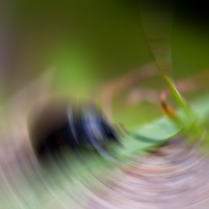 Blur center offset right