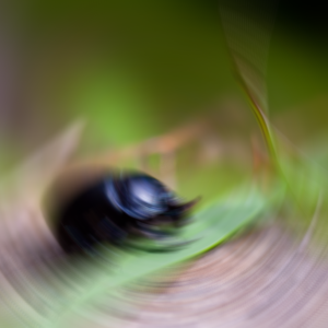 Blur center at origin