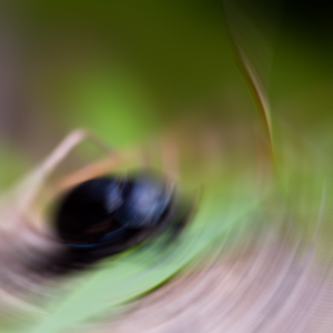 Blur center offset left