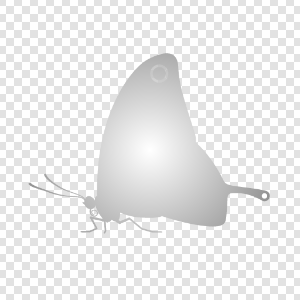 Gradient masked by butterfly shape
