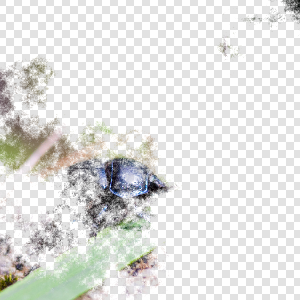 Mask with threshold 0.7