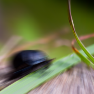Blur center offset right