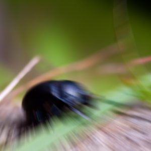 Blur center offset left