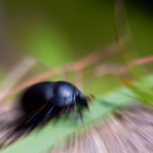 Moderate zoom blur
