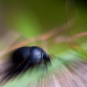 Heavy zoom blur