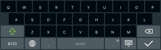 Screenshot of the Polish Layout