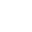 White star particle
